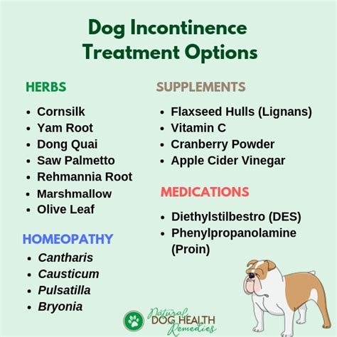 dog incontinence after spay|Treating Canine Urinary Incontinence